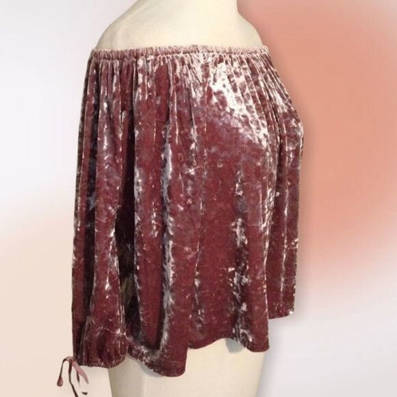 American Eagle Outfitters Mauve Crushed Velvet Cropped‎ Top XS - Picture 6 of 10
